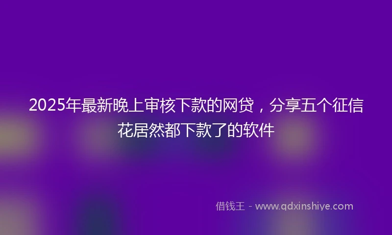 2025年最新晚上审核下款的网贷，分享五个征信花居然都下款了的软件