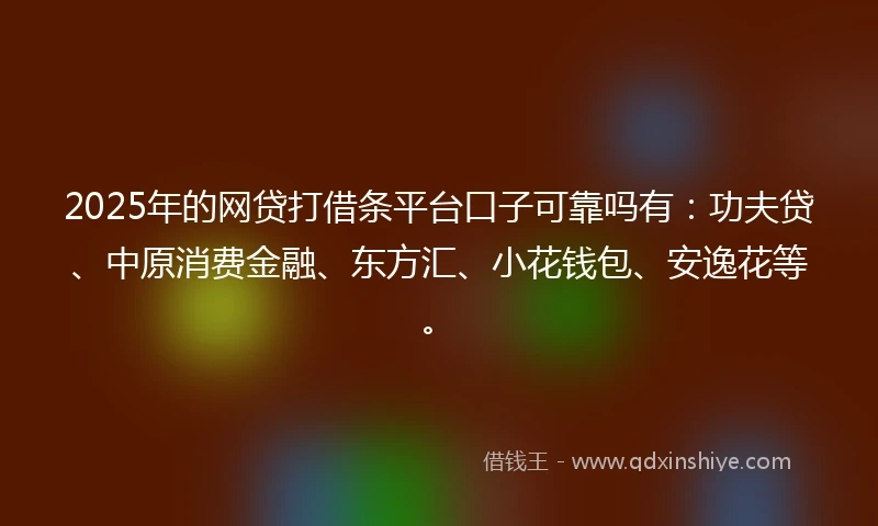 2025年的网贷打借条平台口子可靠吗有：功夫贷、中原消费金融、东方汇、小花钱包、安逸花等。