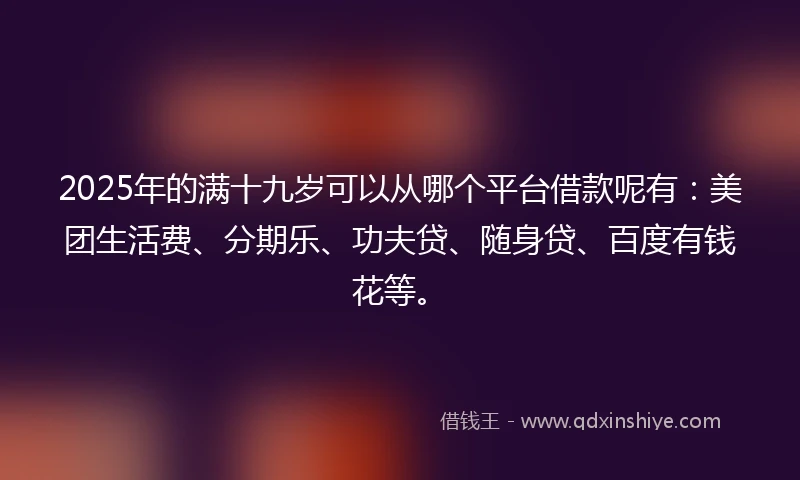 2025年的满十九岁可以从哪个平台借款呢有：美团生活费、分期乐、功夫贷、随身贷、百度有钱花等。