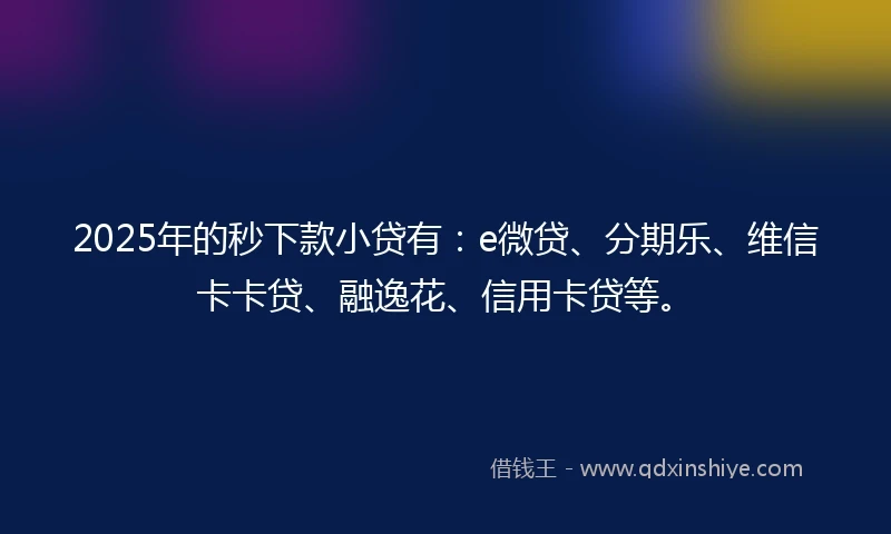 2025年的秒下款小贷有：e微贷、分期乐、维信卡卡贷、融逸花、信用卡贷等。