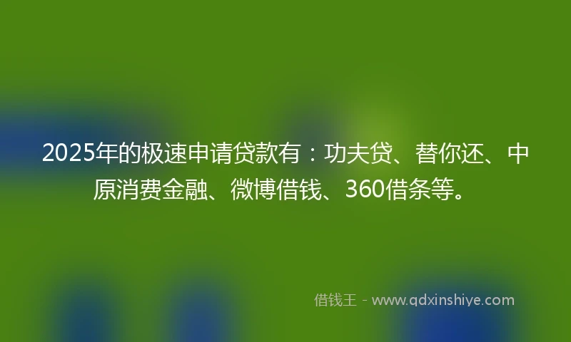 2025年的极速申请贷款有：功夫贷、替你还、中原消费金融、微博借钱、360借条等。