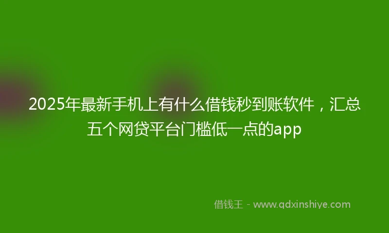 2025年最新手机上有什么借钱秒到账软件，汇总五个网贷平台门槛低一点的app