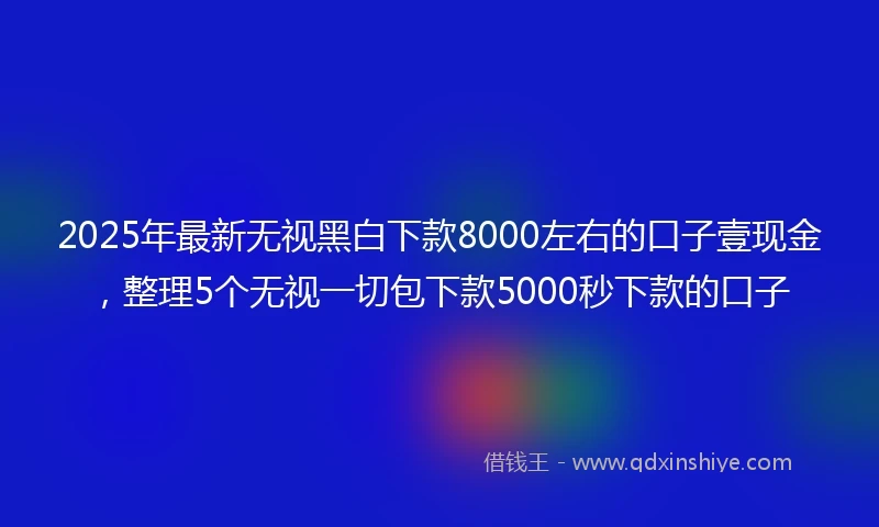 2025年最新无视黑白下款8000左右的口子壹现金，整理5个无视一切包下款5000秒下款的口子