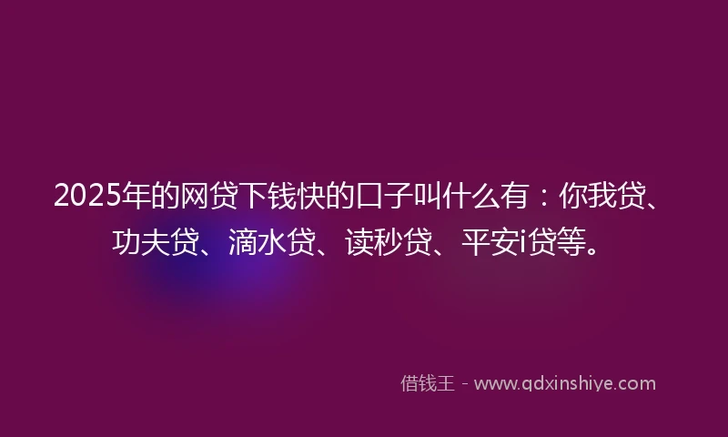 2025年的网贷下钱快的口子叫什么有：你我贷、功夫贷、滴水贷、读秒贷、平安i贷等。