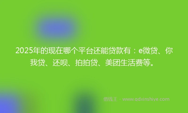 2025年的现在哪个平台还能贷款有:e微贷、你我贷、还呗、拍拍贷、美团生活费等。