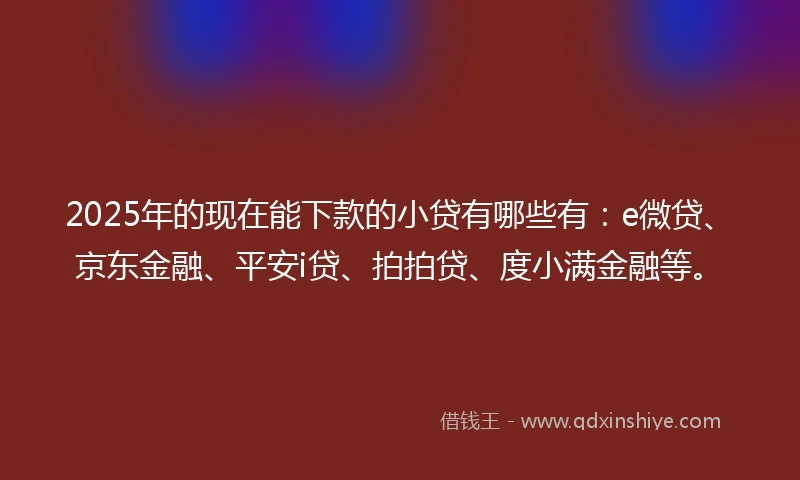 2025年的现在能下款的小贷有哪些有：e微贷、京东金融、平安i贷、拍拍贷、度小满金融等。