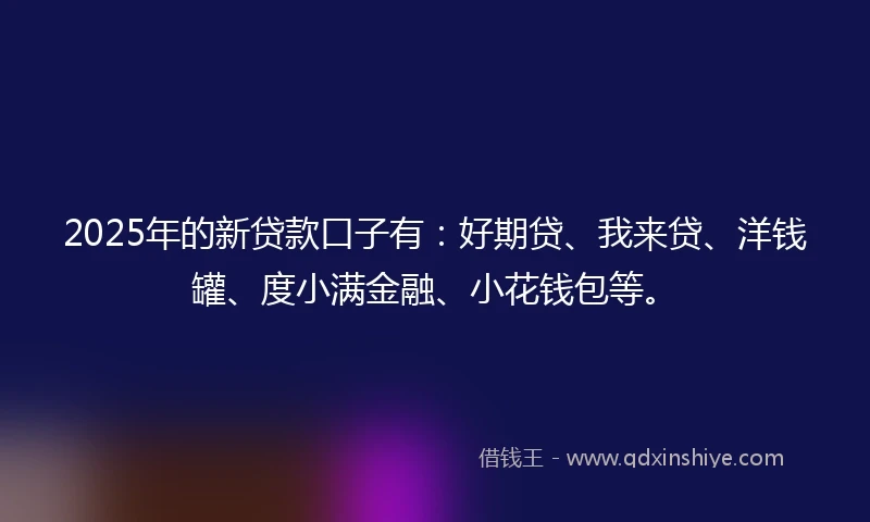 2025年的新贷款口子有：好期贷、我来贷、洋钱罐、度小满金融、小花钱包等。