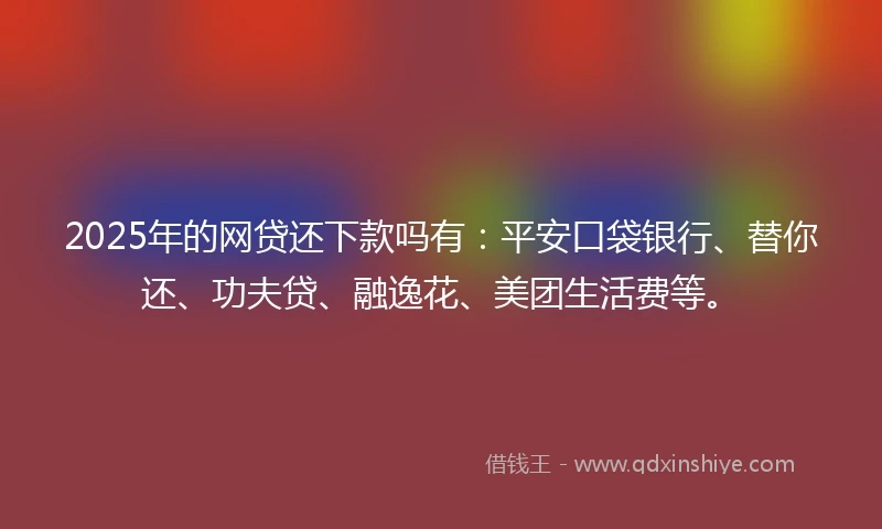 2025年的网贷还下款吗有:平安口袋银行、替你还、功夫贷、融逸花、美团生活费等。