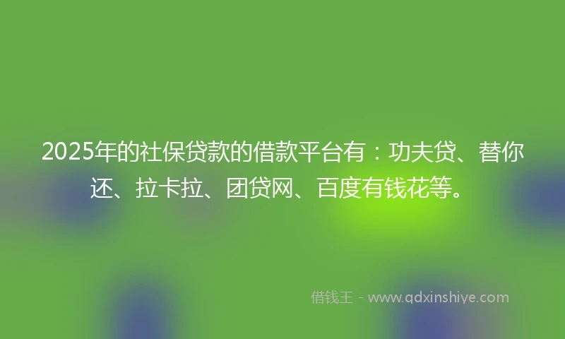 2025年的社保贷款的借款平台有：功夫贷、替你还、拉卡拉、团贷网、百度有钱花等。