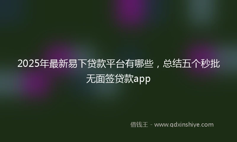 2025年最新易下贷款平台有哪些，总结五个秒批无面签贷款app