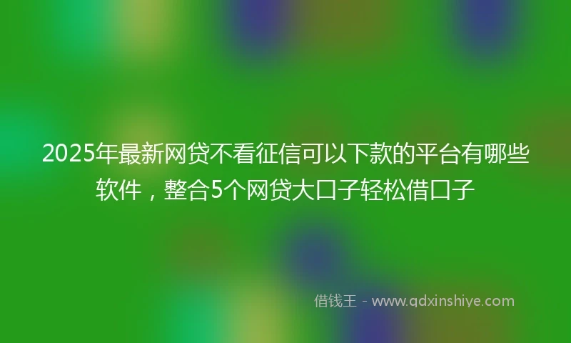 2025年最新网贷不看征信可以下款的平台有哪些软件，整合5个网贷大口子轻松借口子