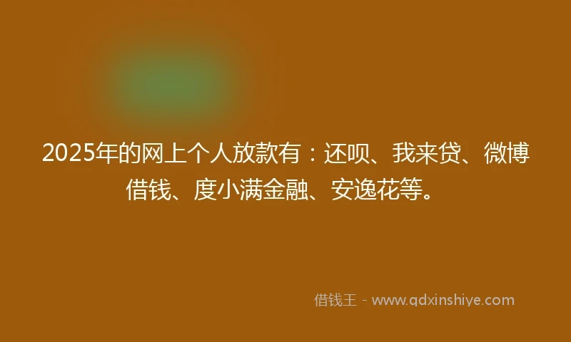 2025年的网上个人放款有：还呗、我来贷、微博借钱、度小满金融、安逸花等。