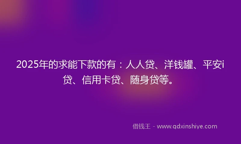 2025年的求能下款的有：人人贷、洋钱罐、平安i贷、信用卡贷、随身贷等。