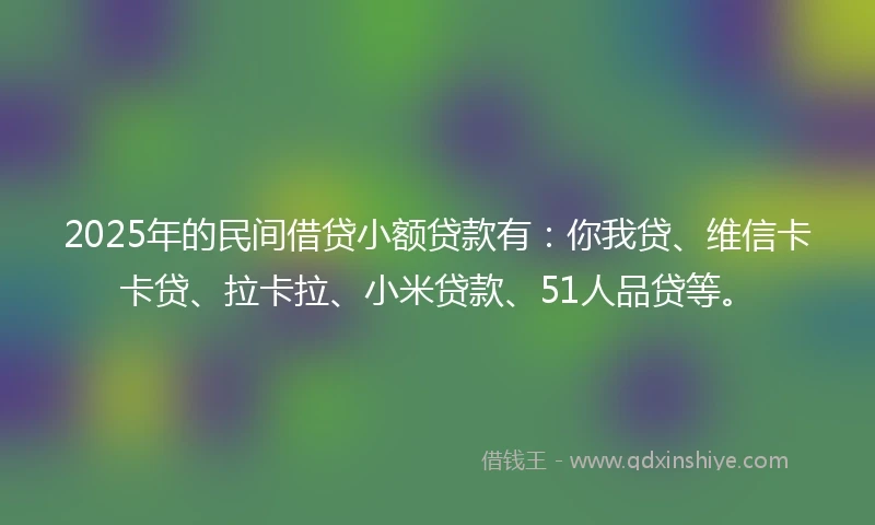 2025年的民间借贷小额贷款有：你我贷、维信卡卡贷、拉卡拉、小米贷款、51人品贷等。