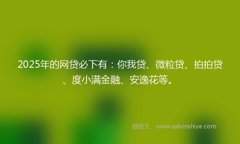 2025年的网贷必下有：你我贷、微粒贷、拍拍贷、度小满金融、安逸花等。