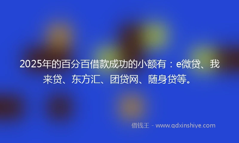 2025年的百分百借款成功的小额有：e微贷、我来贷、东方汇、团贷网、随身贷等。