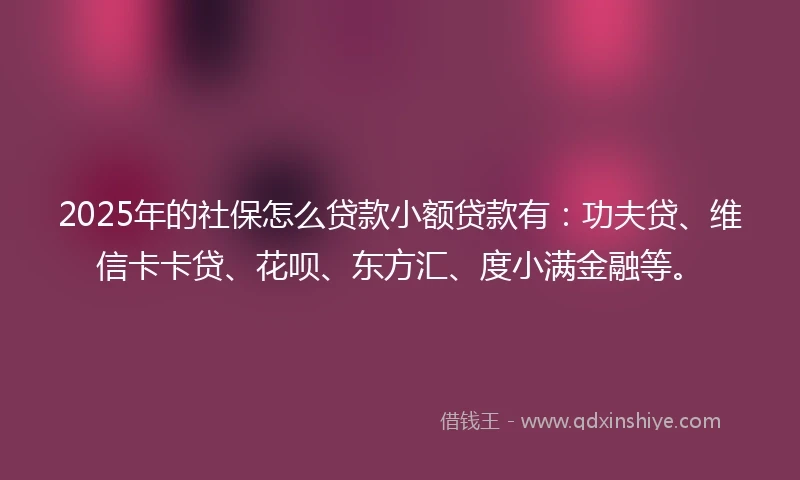 2025年的社保怎么贷款小额贷款有：功夫贷、维信卡卡贷、花呗、东方汇、度小满金融等。