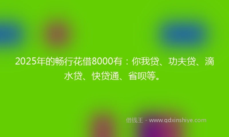 2025年的畅行花借8000有：你我贷、功夫贷、滴水贷、快贷通、省呗等。