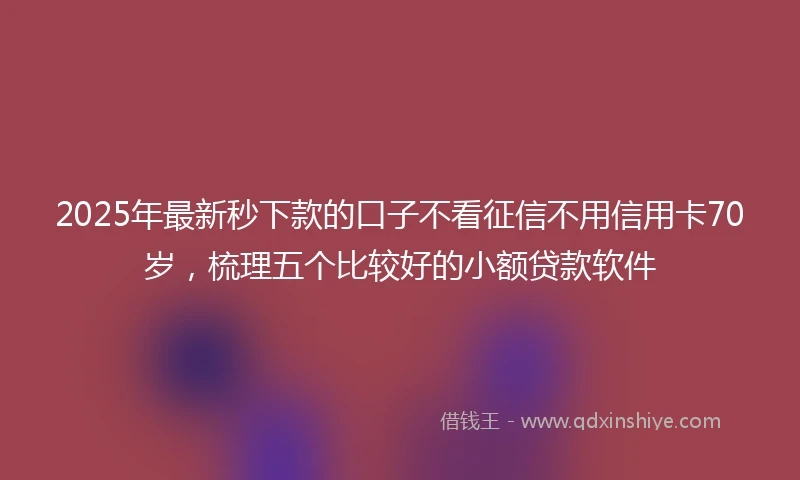 2025年最新秒下款的口子不看征信不用信用卡70岁，梳理五个比较好的小额贷款软件