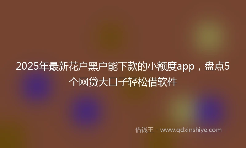2025年最新花户黑户能下款的小额度app，盘点5个网贷大口子轻松借软件