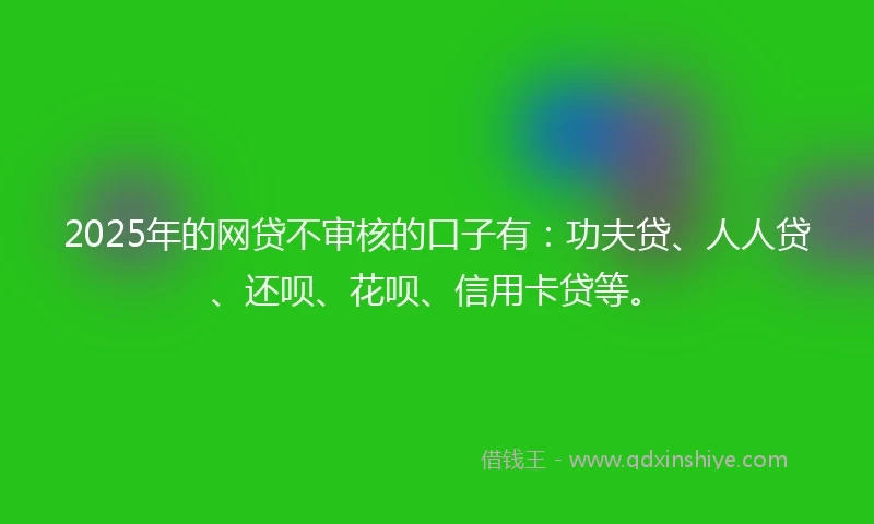2025年的网贷不审核的口子有：功夫贷、人人贷、还呗、花呗、信用卡贷等。