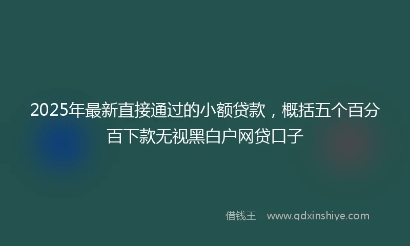 2025年最新直接通过的小额贷款，概括五个百分百下款无视黑白户网贷口子