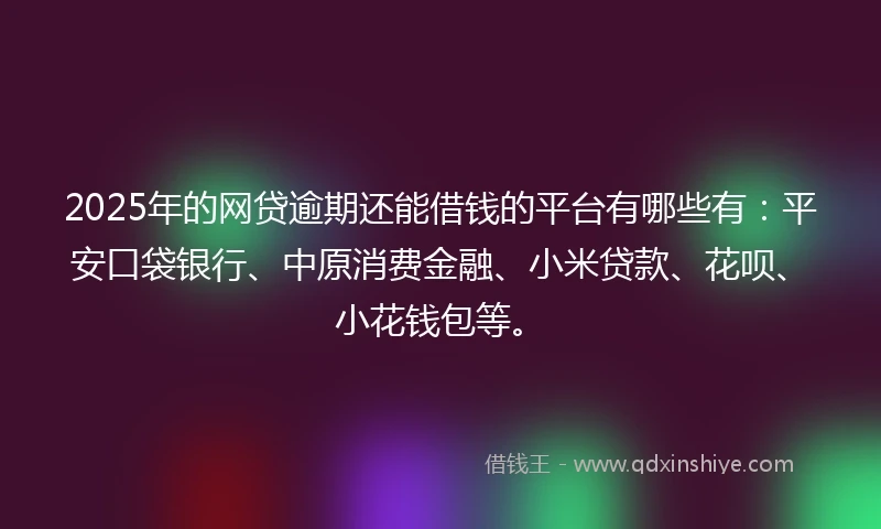 2025年的网贷逾期还能借钱的平台有哪些有：平安口袋银行、中原消费金融、小米贷款、花呗、小花钱包等。