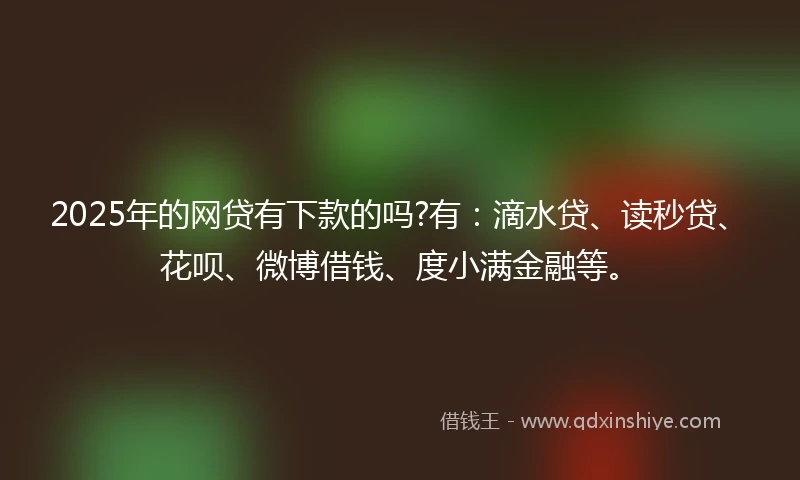 2025年的网贷有下款的吗?有：滴水贷、读秒贷、花呗、微博借钱、度小满金融等。