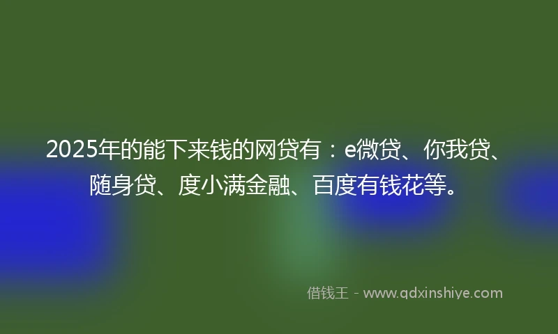 2025年的能下来钱的网贷有：e微贷、你我贷、随身贷、度小满金融、百度有钱花等。