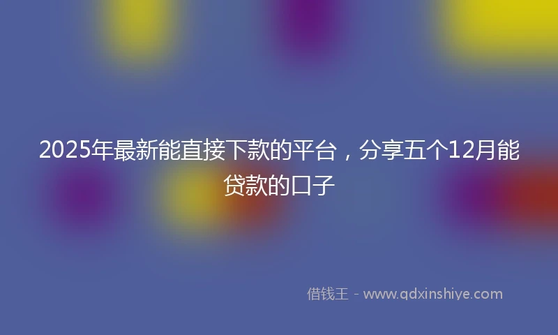 2025年最新能直接下款的平台，分享五个12月能贷款的口子