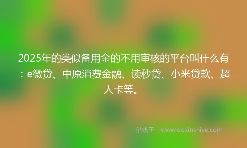 2025年的类似备用金的不用审核的平台叫什么有：e微贷、中原消费金融、读秒贷、小米贷款、超人卡等。