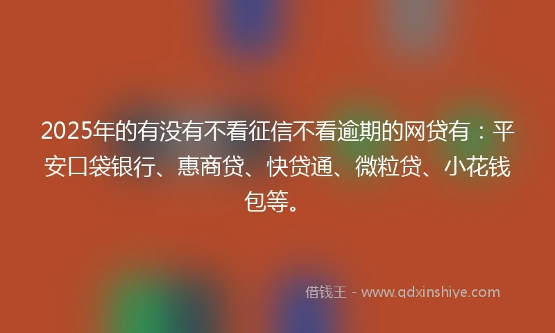 2025年的有没有不看征信不看逾期的网贷有：平安口袋银行、惠商贷、快贷通、微粒贷、小花钱包等。