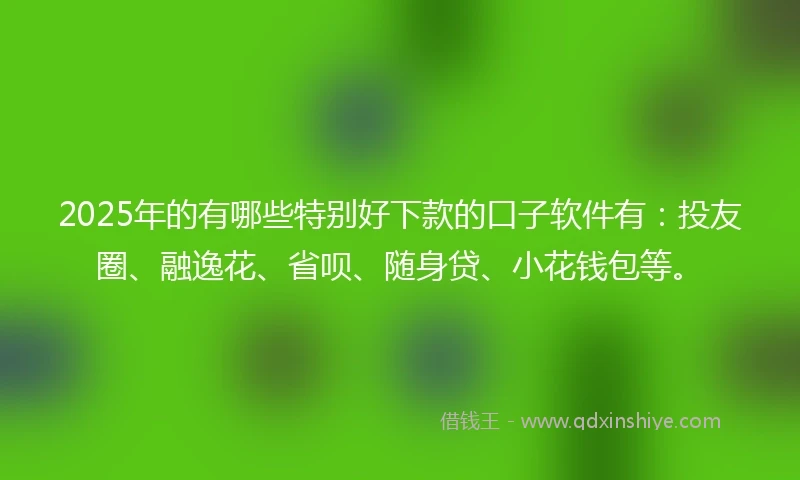 2025年的有哪些特别好下款的口子软件有：投友圈、融逸花、省呗、随身贷、小花钱包等。