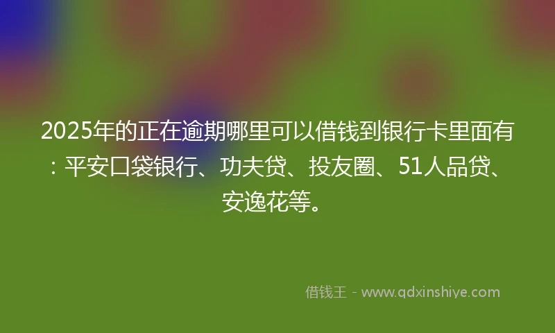 2025年的正在逾期哪里可以借钱到银行卡里面有:平安口袋银行、功夫贷、投友圈、51人品贷、安逸花等。