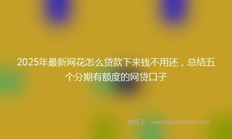 2025年最新网花怎么贷款下来钱不用还，总结五个分期有额度的网贷口子
