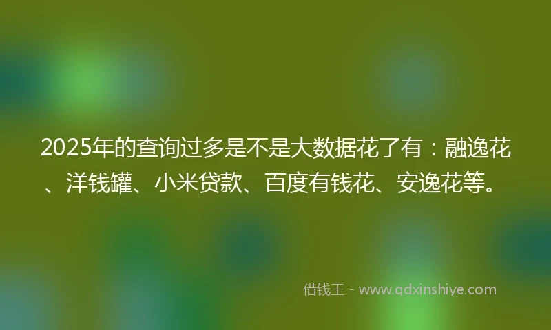 2025年的查询过多是不是大数据花了有：融逸花、洋钱罐、小米贷款、百度有钱花、安逸花等。