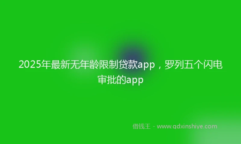 2025年最新无年龄限制贷款app，罗列五个闪电审批的app