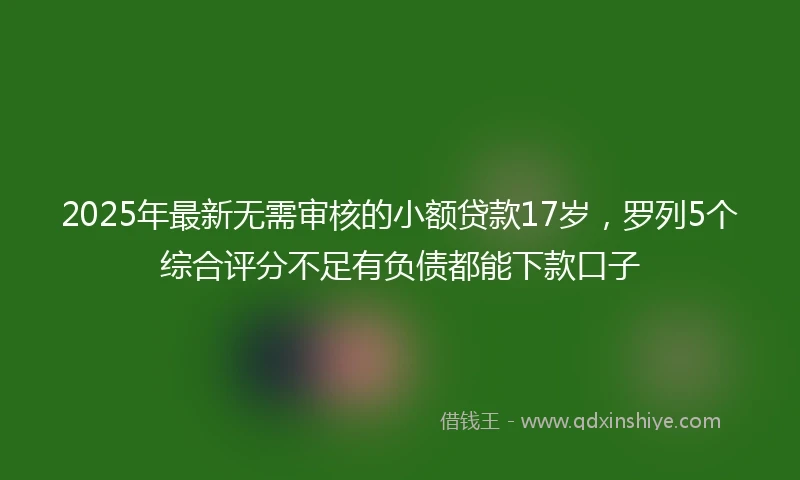 2025年最新无需审核的小额贷款17岁，罗列5个综合评分不足有负债都能下款口子