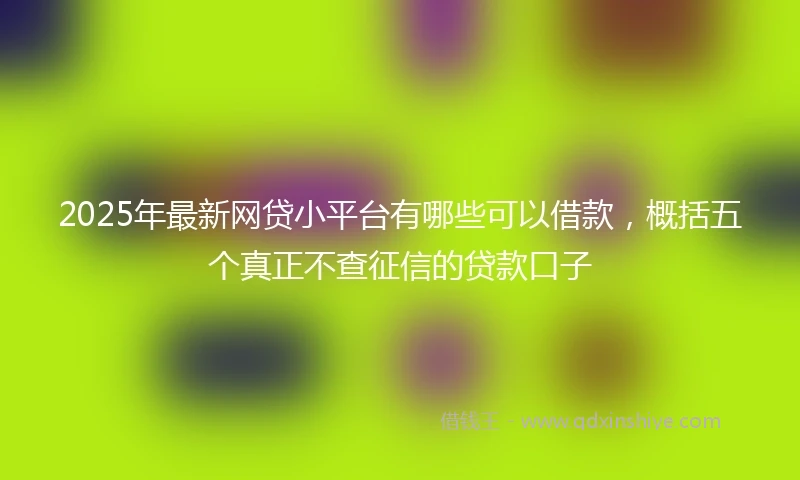 2025年最新网贷小平台有哪些可以借款，概括五个真正不查征信的贷款口子