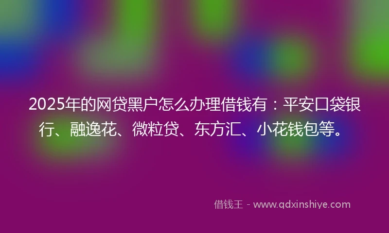 2025年的网贷黑户怎么办理借钱有：平安口袋银行、融逸花、微粒贷、东方汇、小花钱包等。