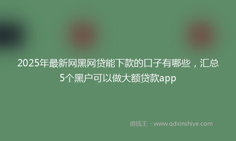 2025年最新网黑网贷能下款的口子有哪些，汇总5个黑户可以做大额贷款app