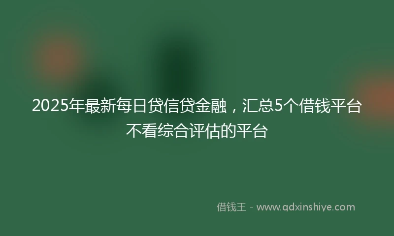 2025年最新每日贷信贷金融，汇总5个借钱平台不看综合评估的平台