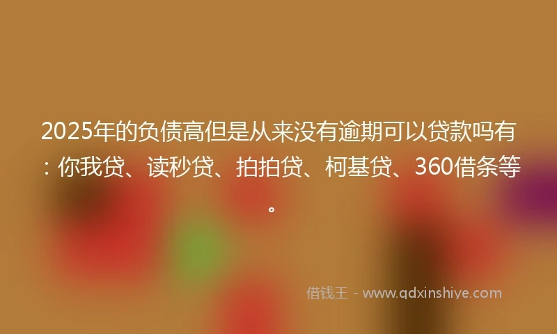 2025年的负债高但是从来没有逾期可以贷款吗有：你我贷、读秒贷、拍拍贷、柯基贷、360借条等。