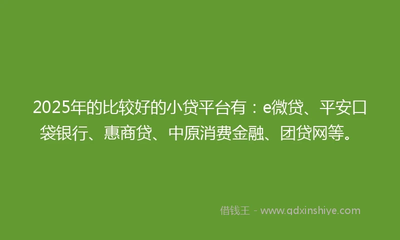 2025年的比较好的小贷平台有：e微贷、平安口袋银行、惠商贷、中原消费金融、团贷网等。