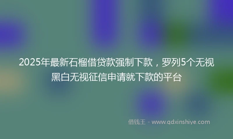 2025年最新石榴借贷款强制下款，罗列5个无视黑白无视征信申请就下款的平台