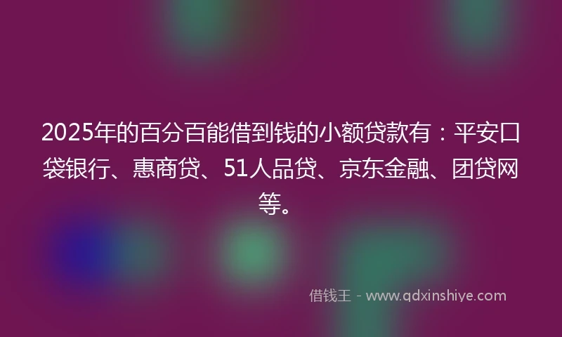 2025年的百分百能借到钱的小额贷款有：平安口袋银行、惠商贷、51人品贷、京东金融、团贷网等。