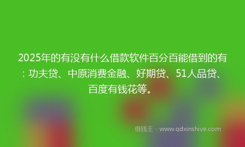 2025年的有没有什么借款软件百分百能借到的有：功夫贷、中原消费金融、好期贷、51人品贷、百度有钱花等。