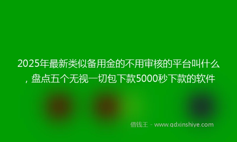 2025年最新类似备用金的不用审核的平台叫什么，盘点五个无视一切包下款5000秒下款的软件