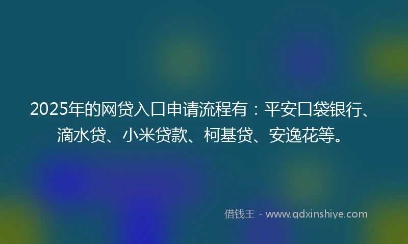 2025年的网贷入口申请流程有：平安口袋银行、滴水贷、小米贷款、柯基贷、安逸花等。
