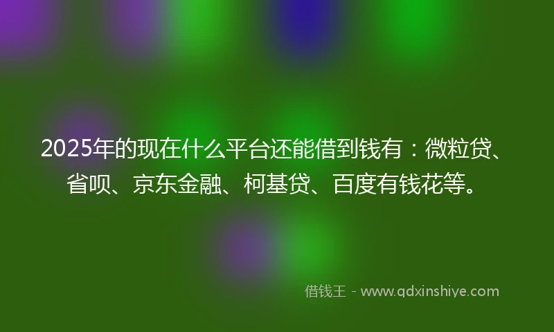 2025年的现在什么平台还能借到钱有：微粒贷、省呗、京东金融、柯基贷、百度有钱花等。